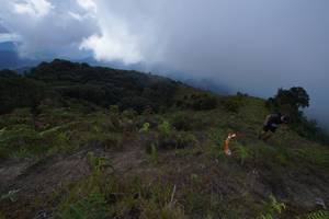 BIB: 3587
                            <button type="button" onclick="openModal(15914994)" class="btn btn-primary btn-sm float-right btn-popup" data-toggle="modal" data-target=".modal-high-quality">
                        <i class="fas fa-shopping-cart"></i> Add to Cart
                    </button>
                                            <button type="button" onclick="isThisMe(15914994, true)" class="btn btn-success btn-sm float-right btn-popup btn-isme hidden" data-toggle="tooltip" data-placement="bottom" title="นี่คือรูปของคุณใช่ไหม คลิกที่นี่เพื่อเอาเข้าอัลบั้ม">
                        <i class="fas fa-plus"></i> Add to album
                    </button>
                    <button type="button" onclick="isThisMe(15914994, false)" class="btn btn-warning btn-sm float-right btn-popup btn-isnotme hidden">
                        <i class="fas fa-ban"></i> Remove from album
                    </button>