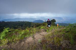 BIB: 3017
                            <button type="button" onclick="openModal(15915612)" class="btn btn-primary btn-sm float-right btn-popup" data-toggle="modal" data-target=".modal-high-quality">
                        <i class="fas fa-shopping-cart"></i> Add to Cart
                    </button>
                                            <button type="button" onclick="isThisMe(15915612, true)" class="btn btn-success btn-sm float-right btn-popup btn-isme hidden" data-toggle="tooltip" data-placement="bottom" title="นี่คือรูปของคุณใช่ไหม คลิกที่นี่เพื่อเอาเข้าอัลบั้ม">
                        <i class="fas fa-plus"></i> Add to album
                    </button>
                    <button type="button" onclick="isThisMe(15915612, false)" class="btn btn-warning btn-sm float-right btn-popup btn-isnotme hidden">
                        <i class="fas fa-ban"></i> Remove from album
                    </button>