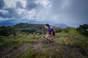 BIB: 
                            <button type="button" onclick="openModal(15914969)" class="btn btn-primary btn-sm float-right btn-popup" data-toggle="modal" data-target=".modal-high-quality">
                        <i class="fas fa-shopping-cart"></i> Add to Cart
                    </button>
                                            <button type="button" onclick="isThisMe(15914969, true)" class="btn btn-success btn-sm float-right btn-popup btn-isme hidden" data-toggle="tooltip" data-placement="bottom" title="นี่คือรูปของคุณใช่ไหม คลิกที่นี่เพื่อเอาเข้าอัลบั้ม">
                        <i class="fas fa-plus"></i> Add to album
                    </button>
                    <button type="button" onclick="isThisMe(15914969, false)" class="btn btn-warning btn-sm float-right btn-popup btn-isnotme hidden">
                        <i class="fas fa-ban"></i> Remove from album
                    </button>