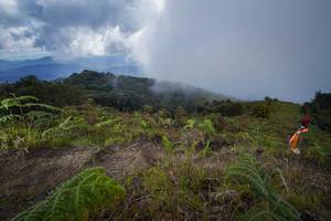 BIB: 2057
                            <button type="button" onclick="openModal(15915060)" class="btn btn-primary btn-sm float-right btn-popup" data-toggle="modal" data-target=".modal-high-quality">
                        <i class="fas fa-shopping-cart"></i> Add to Cart
                    </button>
                                            <button type="button" onclick="isThisMe(15915060, true)" class="btn btn-success btn-sm float-right btn-popup btn-isme hidden" data-toggle="tooltip" data-placement="bottom" title="นี่คือรูปของคุณใช่ไหม คลิกที่นี่เพื่อเอาเข้าอัลบั้ม">
                        <i class="fas fa-plus"></i> Add to album
                    </button>
                    <button type="button" onclick="isThisMe(15915060, false)" class="btn btn-warning btn-sm float-right btn-popup btn-isnotme hidden">
                        <i class="fas fa-ban"></i> Remove from album
                    </button>