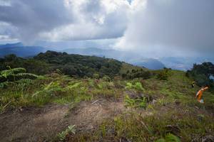 BIB: 
                            <button type="button" onclick="openModal(15915113)" class="btn btn-primary btn-sm float-right btn-popup" data-toggle="modal" data-target=".modal-high-quality">
                        <i class="fas fa-shopping-cart"></i> Add to Cart
                    </button>
                                            <button type="button" onclick="isThisMe(15915113, true)" class="btn btn-success btn-sm float-right btn-popup btn-isme hidden" data-toggle="tooltip" data-placement="bottom" title="นี่คือรูปของคุณใช่ไหม คลิกที่นี่เพื่อเอาเข้าอัลบั้ม">
                        <i class="fas fa-plus"></i> Add to album
                    </button>
                    <button type="button" onclick="isThisMe(15915113, false)" class="btn btn-warning btn-sm float-right btn-popup btn-isnotme hidden">
                        <i class="fas fa-ban"></i> Remove from album
                    </button>