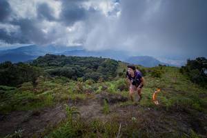 BIB: 
                            <button type="button" onclick="openModal(15914966)" class="btn btn-primary btn-sm float-right btn-popup" data-toggle="modal" data-target=".modal-high-quality">
                        <i class="fas fa-shopping-cart"></i> Add to Cart
                    </button>
                                            <button type="button" onclick="isThisMe(15914966, true)" class="btn btn-success btn-sm float-right btn-popup btn-isme hidden" data-toggle="tooltip" data-placement="bottom" title="นี่คือรูปของคุณใช่ไหม คลิกที่นี่เพื่อเอาเข้าอัลบั้ม">
                        <i class="fas fa-plus"></i> Add to album
                    </button>
                    <button type="button" onclick="isThisMe(15914966, false)" class="btn btn-warning btn-sm float-right btn-popup btn-isnotme hidden">
                        <i class="fas fa-ban"></i> Remove from album
                    </button>