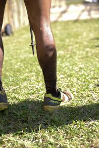 BIB: 
                            <button type="button" onclick="openModal(16039953)" class="btn btn-primary btn-sm float-right btn-popup" data-toggle="modal" data-target=".modal-high-quality">
                        <i class="fas fa-shopping-cart"></i> Add to Cart
                    </button>
                                            <button type="button" onclick="isThisMe(16039953, true)" class="btn btn-success btn-sm float-right btn-popup btn-isme hidden" data-toggle="tooltip" data-placement="bottom" title="นี่คือรูปของคุณใช่ไหม คลิกที่นี่เพื่อเอาเข้าอัลบั้ม">
                        <i class="fas fa-plus"></i> Add to album
                    </button>
                    <button type="button" onclick="isThisMe(16039953, false)" class="btn btn-warning btn-sm float-right btn-popup btn-isnotme hidden">
                        <i class="fas fa-ban"></i> Remove from album
                    </button>