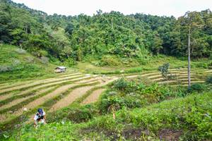 BIB: 
                            <button type="button" onclick="openModal(16018257)" class="btn btn-primary btn-sm float-right btn-popup" data-toggle="modal" data-target=".modal-high-quality">
                        <i class="fas fa-shopping-cart"></i> Add to Cart
                    </button>
                                            <button type="button" onclick="isThisMe(16018257, true)" class="btn btn-success btn-sm float-right btn-popup btn-isme hidden" data-toggle="tooltip" data-placement="bottom" title="นี่คือรูปของคุณใช่ไหม คลิกที่นี่เพื่อเอาเข้าอัลบั้ม">
                        <i class="fas fa-plus"></i> Add to album
                    </button>
                    <button type="button" onclick="isThisMe(16018257, false)" class="btn btn-warning btn-sm float-right btn-popup btn-isnotme hidden">
                        <i class="fas fa-ban"></i> Remove from album
                    </button>