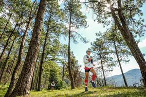 BIB: 
                            <button type="button" onclick="openModal(16045071)" class="btn btn-primary btn-sm float-right btn-popup" data-toggle="modal" data-target=".modal-high-quality">
                        <i class="fas fa-shopping-cart"></i> Add to Cart
                    </button>
                                            <button type="button" onclick="isThisMe(16045071, true)" class="btn btn-success btn-sm float-right btn-popup btn-isme hidden" data-toggle="tooltip" data-placement="bottom" title="นี่คือรูปของคุณใช่ไหม คลิกที่นี่เพื่อเอาเข้าอัลบั้ม">
                        <i class="fas fa-plus"></i> Add to album
                    </button>
                    <button type="button" onclick="isThisMe(16045071, false)" class="btn btn-warning btn-sm float-right btn-popup btn-isnotme hidden">
                        <i class="fas fa-ban"></i> Remove from album
                    </button>