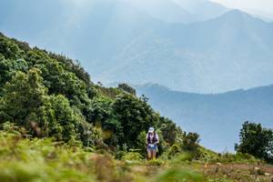 BIB: 
                            <button type="button" onclick="openModal(16049210)" class="btn btn-primary btn-sm float-right btn-popup" data-toggle="modal" data-target=".modal-high-quality">
                        <i class="fas fa-shopping-cart"></i> Add to Cart
                    </button>
                                            <button type="button" onclick="isThisMe(16049210, true)" class="btn btn-success btn-sm float-right btn-popup btn-isme hidden" data-toggle="tooltip" data-placement="bottom" title="นี่คือรูปของคุณใช่ไหม คลิกที่นี่เพื่อเอาเข้าอัลบั้ม">
                        <i class="fas fa-plus"></i> Add to album
                    </button>
                    <button type="button" onclick="isThisMe(16049210, false)" class="btn btn-warning btn-sm float-right btn-popup btn-isnotme hidden">
                        <i class="fas fa-ban"></i> Remove from album
                    </button>