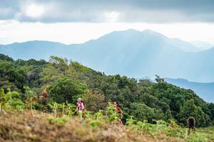 BIB: 112
                            <button type="button" onclick="openModal(16049806)" class="btn btn-primary btn-sm float-right btn-popup" data-toggle="modal" data-target=".modal-high-quality">
                        <i class="fas fa-shopping-cart"></i> Add to Cart
                    </button>
                                            <button type="button" onclick="isThisMe(16049806, true)" class="btn btn-success btn-sm float-right btn-popup btn-isme hidden" data-toggle="tooltip" data-placement="bottom" title="นี่คือรูปของคุณใช่ไหม คลิกที่นี่เพื่อเอาเข้าอัลบั้ม">
                        <i class="fas fa-plus"></i> Add to album
                    </button>
                    <button type="button" onclick="isThisMe(16049806, false)" class="btn btn-warning btn-sm float-right btn-popup btn-isnotme hidden">
                        <i class="fas fa-ban"></i> Remove from album
                    </button>