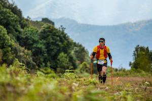 BIB: 3033
                            <button type="button" onclick="openModal(16049439)" class="btn btn-primary btn-sm float-right btn-popup" data-toggle="modal" data-target=".modal-high-quality">
                        <i class="fas fa-shopping-cart"></i> Add to Cart
                    </button>
                                            <button type="button" onclick="isThisMe(16049439, true)" class="btn btn-success btn-sm float-right btn-popup btn-isme hidden" data-toggle="tooltip" data-placement="bottom" title="นี่คือรูปของคุณใช่ไหม คลิกที่นี่เพื่อเอาเข้าอัลบั้ม">
                        <i class="fas fa-plus"></i> Add to album
                    </button>
                    <button type="button" onclick="isThisMe(16049439, false)" class="btn btn-warning btn-sm float-right btn-popup btn-isnotme hidden">
                        <i class="fas fa-ban"></i> Remove from album
                    </button>