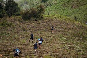 BIB: 
                            <button type="button" onclick="openModal(16049580)" class="btn btn-primary btn-sm float-right btn-popup" data-toggle="modal" data-target=".modal-high-quality">
                        <i class="fas fa-shopping-cart"></i> Add to Cart
                    </button>
                                            <button type="button" onclick="isThisMe(16049580, true)" class="btn btn-success btn-sm float-right btn-popup btn-isme hidden" data-toggle="tooltip" data-placement="bottom" title="นี่คือรูปของคุณใช่ไหม คลิกที่นี่เพื่อเอาเข้าอัลบั้ม">
                        <i class="fas fa-plus"></i> Add to album
                    </button>
                    <button type="button" onclick="isThisMe(16049580, false)" class="btn btn-warning btn-sm float-right btn-popup btn-isnotme hidden">
                        <i class="fas fa-ban"></i> Remove from album
                    </button>