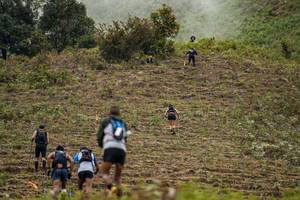 BIB: 
                            <button type="button" onclick="openModal(16049576)" class="btn btn-primary btn-sm float-right btn-popup" data-toggle="modal" data-target=".modal-high-quality">
                        <i class="fas fa-shopping-cart"></i> Add to Cart
                    </button>
                                            <button type="button" onclick="isThisMe(16049576, true)" class="btn btn-success btn-sm float-right btn-popup btn-isme hidden" data-toggle="tooltip" data-placement="bottom" title="นี่คือรูปของคุณใช่ไหม คลิกที่นี่เพื่อเอาเข้าอัลบั้ม">
                        <i class="fas fa-plus"></i> Add to album
                    </button>
                    <button type="button" onclick="isThisMe(16049576, false)" class="btn btn-warning btn-sm float-right btn-popup btn-isnotme hidden">
                        <i class="fas fa-ban"></i> Remove from album
                    </button>