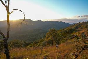 BIB: 
                            <button type="button" onclick="openModal(16050011)" class="btn btn-primary btn-sm float-right btn-popup" data-toggle="modal" data-target=".modal-high-quality">
                        <i class="fas fa-shopping-cart"></i> Add to Cart
                    </button>
                                            <button type="button" onclick="isThisMe(16050011, true)" class="btn btn-success btn-sm float-right btn-popup btn-isme hidden" data-toggle="tooltip" data-placement="bottom" title="นี่คือรูปของคุณใช่ไหม คลิกที่นี่เพื่อเอาเข้าอัลบั้ม">
                        <i class="fas fa-plus"></i> Add to album
                    </button>
                    <button type="button" onclick="isThisMe(16050011, false)" class="btn btn-warning btn-sm float-right btn-popup btn-isnotme hidden">
                        <i class="fas fa-ban"></i> Remove from album
                    </button>