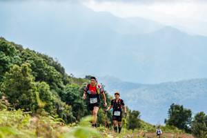 BIB: 100, 3131, 3042
                            <button type="button" onclick="openModal(16049142)" class="btn btn-primary btn-sm float-right btn-popup" data-toggle="modal" data-target=".modal-high-quality">
                        <i class="fas fa-shopping-cart"></i> Add to Cart
                    </button>
                                            <button type="button" onclick="isThisMe(16049142, true)" class="btn btn-success btn-sm float-right btn-popup btn-isme hidden" data-toggle="tooltip" data-placement="bottom" title="นี่คือรูปของคุณใช่ไหม คลิกที่นี่เพื่อเอาเข้าอัลบั้ม">
                        <i class="fas fa-plus"></i> Add to album
                    </button>
                    <button type="button" onclick="isThisMe(16049142, false)" class="btn btn-warning btn-sm float-right btn-popup btn-isnotme hidden">
                        <i class="fas fa-ban"></i> Remove from album
                    </button>