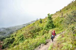 BIB: 3057
                            <button type="button" onclick="openModal(16049039)" class="btn btn-primary btn-sm float-right btn-popup" data-toggle="modal" data-target=".modal-high-quality">
                        <i class="fas fa-shopping-cart"></i> Add to Cart
                    </button>
                                            <button type="button" onclick="isThisMe(16049039, true)" class="btn btn-success btn-sm float-right btn-popup btn-isme hidden" data-toggle="tooltip" data-placement="bottom" title="นี่คือรูปของคุณใช่ไหม คลิกที่นี่เพื่อเอาเข้าอัลบั้ม">
                        <i class="fas fa-plus"></i> Add to album
                    </button>
                    <button type="button" onclick="isThisMe(16049039, false)" class="btn btn-warning btn-sm float-right btn-popup btn-isnotme hidden">
                        <i class="fas fa-ban"></i> Remove from album
                    </button>