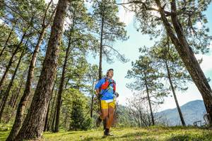 BIB: 
                            <button type="button" onclick="openModal(16045067)" class="btn btn-primary btn-sm float-right btn-popup" data-toggle="modal" data-target=".modal-high-quality">
                        <i class="fas fa-shopping-cart"></i> Add to Cart
                    </button>
                                            <button type="button" onclick="isThisMe(16045067, true)" class="btn btn-success btn-sm float-right btn-popup btn-isme hidden" data-toggle="tooltip" data-placement="bottom" title="นี่คือรูปของคุณใช่ไหม คลิกที่นี่เพื่อเอาเข้าอัลบั้ม">
                        <i class="fas fa-plus"></i> Add to album
                    </button>
                    <button type="button" onclick="isThisMe(16045067, false)" class="btn btn-warning btn-sm float-right btn-popup btn-isnotme hidden">
                        <i class="fas fa-ban"></i> Remove from album
                    </button>