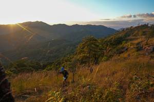 BIB: 
                            <button type="button" onclick="openModal(16050033)" class="btn btn-primary btn-sm float-right btn-popup" data-toggle="modal" data-target=".modal-high-quality">
                        <i class="fas fa-shopping-cart"></i> Add to Cart
                    </button>
                                            <button type="button" onclick="isThisMe(16050033, true)" class="btn btn-success btn-sm float-right btn-popup btn-isme hidden" data-toggle="tooltip" data-placement="bottom" title="นี่คือรูปของคุณใช่ไหม คลิกที่นี่เพื่อเอาเข้าอัลบั้ม">
                        <i class="fas fa-plus"></i> Add to album
                    </button>
                    <button type="button" onclick="isThisMe(16050033, false)" class="btn btn-warning btn-sm float-right btn-popup btn-isnotme hidden">
                        <i class="fas fa-ban"></i> Remove from album
                    </button>