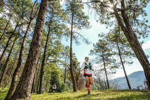 BIB: 
                            <button type="button" onclick="openModal(16045070)" class="btn btn-primary btn-sm float-right btn-popup" data-toggle="modal" data-target=".modal-high-quality">
                        <i class="fas fa-shopping-cart"></i> Add to Cart
                    </button>
                                            <button type="button" onclick="isThisMe(16045070, true)" class="btn btn-success btn-sm float-right btn-popup btn-isme hidden" data-toggle="tooltip" data-placement="bottom" title="นี่คือรูปของคุณใช่ไหม คลิกที่นี่เพื่อเอาเข้าอัลบั้ม">
                        <i class="fas fa-plus"></i> Add to album
                    </button>
                    <button type="button" onclick="isThisMe(16045070, false)" class="btn btn-warning btn-sm float-right btn-popup btn-isnotme hidden">
                        <i class="fas fa-ban"></i> Remove from album
                    </button>