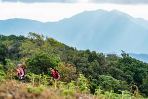 BIB: 
                            <button type="button" onclick="openModal(16049808)" class="btn btn-primary btn-sm float-right btn-popup" data-toggle="modal" data-target=".modal-high-quality">
                        <i class="fas fa-shopping-cart"></i> Add to Cart
                    </button>
                                            <button type="button" onclick="isThisMe(16049808, true)" class="btn btn-success btn-sm float-right btn-popup btn-isme hidden" data-toggle="tooltip" data-placement="bottom" title="นี่คือรูปของคุณใช่ไหม คลิกที่นี่เพื่อเอาเข้าอัลบั้ม">
                        <i class="fas fa-plus"></i> Add to album
                    </button>
                    <button type="button" onclick="isThisMe(16049808, false)" class="btn btn-warning btn-sm float-right btn-popup btn-isnotme hidden">
                        <i class="fas fa-ban"></i> Remove from album
                    </button>