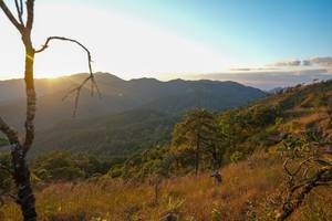 BIB: 
                            <button type="button" onclick="openModal(16050009)" class="btn btn-primary btn-sm float-right btn-popup" data-toggle="modal" data-target=".modal-high-quality">
                        <i class="fas fa-shopping-cart"></i> Add to Cart
                    </button>
                                            <button type="button" onclick="isThisMe(16050009, true)" class="btn btn-success btn-sm float-right btn-popup btn-isme hidden" data-toggle="tooltip" data-placement="bottom" title="นี่คือรูปของคุณใช่ไหม คลิกที่นี่เพื่อเอาเข้าอัลบั้ม">
                        <i class="fas fa-plus"></i> Add to album
                    </button>
                    <button type="button" onclick="isThisMe(16050009, false)" class="btn btn-warning btn-sm float-right btn-popup btn-isnotme hidden">
                        <i class="fas fa-ban"></i> Remove from album
                    </button>