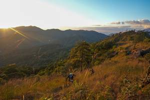 BIB: 
                            <button type="button" onclick="openModal(16050015)" class="btn btn-primary btn-sm float-right btn-popup" data-toggle="modal" data-target=".modal-high-quality">
                        <i class="fas fa-shopping-cart"></i> Add to Cart
                    </button>
                                            <button type="button" onclick="isThisMe(16050015, true)" class="btn btn-success btn-sm float-right btn-popup btn-isme hidden" data-toggle="tooltip" data-placement="bottom" title="นี่คือรูปของคุณใช่ไหม คลิกที่นี่เพื่อเอาเข้าอัลบั้ม">
                        <i class="fas fa-plus"></i> Add to album
                    </button>
                    <button type="button" onclick="isThisMe(16050015, false)" class="btn btn-warning btn-sm float-right btn-popup btn-isnotme hidden">
                        <i class="fas fa-ban"></i> Remove from album
                    </button>