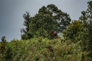 BIB: 043
                            <button type="button" onclick="openModal(16049061)" class="btn btn-primary btn-sm float-right btn-popup" data-toggle="modal" data-target=".modal-high-quality">
                        <i class="fas fa-shopping-cart"></i> Add to Cart
                    </button>
                                            <button type="button" onclick="isThisMe(16049061, true)" class="btn btn-success btn-sm float-right btn-popup btn-isme hidden" data-toggle="tooltip" data-placement="bottom" title="นี่คือรูปของคุณใช่ไหม คลิกที่นี่เพื่อเอาเข้าอัลบั้ม">
                        <i class="fas fa-plus"></i> Add to album
                    </button>
                    <button type="button" onclick="isThisMe(16049061, false)" class="btn btn-warning btn-sm float-right btn-popup btn-isnotme hidden">
                        <i class="fas fa-ban"></i> Remove from album
                    </button>