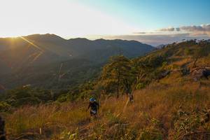 BIB: 
                            <button type="button" onclick="openModal(16050017)" class="btn btn-primary btn-sm float-right btn-popup" data-toggle="modal" data-target=".modal-high-quality">
                        <i class="fas fa-shopping-cart"></i> Add to Cart
                    </button>
                                            <button type="button" onclick="isThisMe(16050017, true)" class="btn btn-success btn-sm float-right btn-popup btn-isme hidden" data-toggle="tooltip" data-placement="bottom" title="นี่คือรูปของคุณใช่ไหม คลิกที่นี่เพื่อเอาเข้าอัลบั้ม">
                        <i class="fas fa-plus"></i> Add to album
                    </button>
                    <button type="button" onclick="isThisMe(16050017, false)" class="btn btn-warning btn-sm float-right btn-popup btn-isnotme hidden">
                        <i class="fas fa-ban"></i> Remove from album
                    </button>