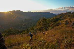 BIB: 
                            <button type="button" onclick="openModal(16050027)" class="btn btn-primary btn-sm float-right btn-popup" data-toggle="modal" data-target=".modal-high-quality">
                        <i class="fas fa-shopping-cart"></i> Add to Cart
                    </button>
                                            <button type="button" onclick="isThisMe(16050027, true)" class="btn btn-success btn-sm float-right btn-popup btn-isme hidden" data-toggle="tooltip" data-placement="bottom" title="นี่คือรูปของคุณใช่ไหม คลิกที่นี่เพื่อเอาเข้าอัลบั้ม">
                        <i class="fas fa-plus"></i> Add to album
                    </button>
                    <button type="button" onclick="isThisMe(16050027, false)" class="btn btn-warning btn-sm float-right btn-popup btn-isnotme hidden">
                        <i class="fas fa-ban"></i> Remove from album
                    </button>