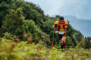 BIB: 3033
                            <button type="button" onclick="openModal(16049448)" class="btn btn-primary btn-sm float-right btn-popup" data-toggle="modal" data-target=".modal-high-quality">
                        <i class="fas fa-shopping-cart"></i> Add to Cart
                    </button>
                                            <button type="button" onclick="isThisMe(16049448, true)" class="btn btn-success btn-sm float-right btn-popup btn-isme hidden" data-toggle="tooltip" data-placement="bottom" title="นี่คือรูปของคุณใช่ไหม คลิกที่นี่เพื่อเอาเข้าอัลบั้ม">
                        <i class="fas fa-plus"></i> Add to album
                    </button>
                    <button type="button" onclick="isThisMe(16049448, false)" class="btn btn-warning btn-sm float-right btn-popup btn-isnotme hidden">
                        <i class="fas fa-ban"></i> Remove from album
                    </button>