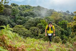 BIB: 3029
                            <button type="button" onclick="openModal(16049078)" class="btn btn-primary btn-sm float-right btn-popup" data-toggle="modal" data-target=".modal-high-quality">
                        <i class="fas fa-shopping-cart"></i> Add to Cart
                    </button>
                                            <button type="button" onclick="isThisMe(16049078, true)" class="btn btn-success btn-sm float-right btn-popup btn-isme hidden" data-toggle="tooltip" data-placement="bottom" title="นี่คือรูปของคุณใช่ไหม คลิกที่นี่เพื่อเอาเข้าอัลบั้ม">
                        <i class="fas fa-plus"></i> Add to album
                    </button>
                    <button type="button" onclick="isThisMe(16049078, false)" class="btn btn-warning btn-sm float-right btn-popup btn-isnotme hidden">
                        <i class="fas fa-ban"></i> Remove from album
                    </button>