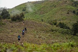 BIB: 
                            <button type="button" onclick="openModal(16049583)" class="btn btn-primary btn-sm float-right btn-popup" data-toggle="modal" data-target=".modal-high-quality">
                        <i class="fas fa-shopping-cart"></i> Add to Cart
                    </button>
                                            <button type="button" onclick="isThisMe(16049583, true)" class="btn btn-success btn-sm float-right btn-popup btn-isme hidden" data-toggle="tooltip" data-placement="bottom" title="นี่คือรูปของคุณใช่ไหม คลิกที่นี่เพื่อเอาเข้าอัลบั้ม">
                        <i class="fas fa-plus"></i> Add to album
                    </button>
                    <button type="button" onclick="isThisMe(16049583, false)" class="btn btn-warning btn-sm float-right btn-popup btn-isnotme hidden">
                        <i class="fas fa-ban"></i> Remove from album
                    </button>