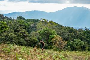 BIB: 
                            <button type="button" onclick="openModal(16049809)" class="btn btn-primary btn-sm float-right btn-popup" data-toggle="modal" data-target=".modal-high-quality">
                        <i class="fas fa-shopping-cart"></i> Add to Cart
                    </button>
                                            <button type="button" onclick="isThisMe(16049809, true)" class="btn btn-success btn-sm float-right btn-popup btn-isme hidden" data-toggle="tooltip" data-placement="bottom" title="นี่คือรูปของคุณใช่ไหม คลิกที่นี่เพื่อเอาเข้าอัลบั้ม">
                        <i class="fas fa-plus"></i> Add to album
                    </button>
                    <button type="button" onclick="isThisMe(16049809, false)" class="btn btn-warning btn-sm float-right btn-popup btn-isnotme hidden">
                        <i class="fas fa-ban"></i> Remove from album
                    </button>