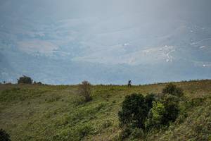 BIB: 
                            <button type="button" onclick="openModal(16049055)" class="btn btn-primary btn-sm float-right btn-popup" data-toggle="modal" data-target=".modal-high-quality">
                        <i class="fas fa-shopping-cart"></i> Add to Cart
                    </button>
                                            <button type="button" onclick="isThisMe(16049055, true)" class="btn btn-success btn-sm float-right btn-popup btn-isme hidden" data-toggle="tooltip" data-placement="bottom" title="นี่คือรูปของคุณใช่ไหม คลิกที่นี่เพื่อเอาเข้าอัลบั้ม">
                        <i class="fas fa-plus"></i> Add to album
                    </button>
                    <button type="button" onclick="isThisMe(16049055, false)" class="btn btn-warning btn-sm float-right btn-popup btn-isnotme hidden">
                        <i class="fas fa-ban"></i> Remove from album
                    </button>