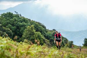 BIB: 
                            <button type="button" onclick="openModal(16049405)" class="btn btn-primary btn-sm float-right btn-popup" data-toggle="modal" data-target=".modal-high-quality">
                        <i class="fas fa-shopping-cart"></i> Add to Cart
                    </button>
                                            <button type="button" onclick="isThisMe(16049405, true)" class="btn btn-success btn-sm float-right btn-popup btn-isme hidden" data-toggle="tooltip" data-placement="bottom" title="นี่คือรูปของคุณใช่ไหม คลิกที่นี่เพื่อเอาเข้าอัลบั้ม">
                        <i class="fas fa-plus"></i> Add to album
                    </button>
                    <button type="button" onclick="isThisMe(16049405, false)" class="btn btn-warning btn-sm float-right btn-popup btn-isnotme hidden">
                        <i class="fas fa-ban"></i> Remove from album
                    </button>