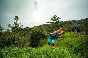 BIB: 3083
                            <button type="button" onclick="openModal(15966655)" class="btn btn-primary btn-sm float-right btn-popup" data-toggle="modal" data-target=".modal-high-quality">
                        <i class="fas fa-shopping-cart"></i> Add to Cart
                    </button>
                                            <button type="button" onclick="isThisMe(15966655, true)" class="btn btn-success btn-sm float-right btn-popup btn-isme hidden" data-toggle="tooltip" data-placement="bottom" title="นี่คือรูปของคุณใช่ไหม คลิกที่นี่เพื่อเอาเข้าอัลบั้ม">
                        <i class="fas fa-plus"></i> Add to album
                    </button>
                    <button type="button" onclick="isThisMe(15966655, false)" class="btn btn-warning btn-sm float-right btn-popup btn-isnotme hidden">
                        <i class="fas fa-ban"></i> Remove from album
                    </button>