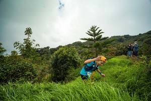 BIB: 3083
                            <button type="button" onclick="openModal(15966651)" class="btn btn-primary btn-sm float-right btn-popup" data-toggle="modal" data-target=".modal-high-quality">
                        <i class="fas fa-shopping-cart"></i> Add to Cart
                    </button>
                                            <button type="button" onclick="isThisMe(15966651, true)" class="btn btn-success btn-sm float-right btn-popup btn-isme hidden" data-toggle="tooltip" data-placement="bottom" title="นี่คือรูปของคุณใช่ไหม คลิกที่นี่เพื่อเอาเข้าอัลบั้ม">
                        <i class="fas fa-plus"></i> Add to album
                    </button>
                    <button type="button" onclick="isThisMe(15966651, false)" class="btn btn-warning btn-sm float-right btn-popup btn-isnotme hidden">
                        <i class="fas fa-ban"></i> Remove from album
                    </button>