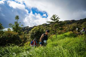 BIB: 3074
                            <button type="button" onclick="openModal(15969702)" class="btn btn-primary btn-sm float-right btn-popup" data-toggle="modal" data-target=".modal-high-quality">
                        <i class="fas fa-shopping-cart"></i> Add to Cart
                    </button>
                                            <button type="button" onclick="isThisMe(15969702, true)" class="btn btn-success btn-sm float-right btn-popup btn-isme hidden" data-toggle="tooltip" data-placement="bottom" title="นี่คือรูปของคุณใช่ไหม คลิกที่นี่เพื่อเอาเข้าอัลบั้ม">
                        <i class="fas fa-plus"></i> Add to album
                    </button>
                    <button type="button" onclick="isThisMe(15969702, false)" class="btn btn-warning btn-sm float-right btn-popup btn-isnotme hidden">
                        <i class="fas fa-ban"></i> Remove from album
                    </button>