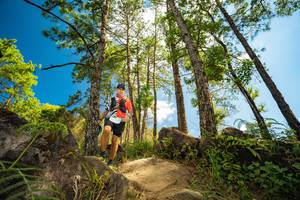 BIB: , 3480
                            <button type="button" onclick="openModal(15965942)" class="btn btn-primary btn-sm float-right btn-popup" data-toggle="modal" data-target=".modal-high-quality">
                        <i class="fas fa-shopping-cart"></i> Add to Cart
                    </button>
                                            <button type="button" onclick="isThisMe(15965942, true)" class="btn btn-success btn-sm float-right btn-popup btn-isme hidden" data-toggle="tooltip" data-placement="bottom" title="นี่คือรูปของคุณใช่ไหม คลิกที่นี่เพื่อเอาเข้าอัลบั้ม">
                        <i class="fas fa-plus"></i> Add to album
                    </button>
                    <button type="button" onclick="isThisMe(15965942, false)" class="btn btn-warning btn-sm float-right btn-popup btn-isnotme hidden">
                        <i class="fas fa-ban"></i> Remove from album
                    </button>