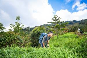 BIB: 
                            <button type="button" onclick="openModal(15969250)" class="btn btn-primary btn-sm float-right btn-popup" data-toggle="modal" data-target=".modal-high-quality">
                        <i class="fas fa-shopping-cart"></i> Add to Cart
                    </button>
                                            <button type="button" onclick="isThisMe(15969250, true)" class="btn btn-success btn-sm float-right btn-popup btn-isme hidden" data-toggle="tooltip" data-placement="bottom" title="นี่คือรูปของคุณใช่ไหม คลิกที่นี่เพื่อเอาเข้าอัลบั้ม">
                        <i class="fas fa-plus"></i> Add to album
                    </button>
                    <button type="button" onclick="isThisMe(15969250, false)" class="btn btn-warning btn-sm float-right btn-popup btn-isnotme hidden">
                        <i class="fas fa-ban"></i> Remove from album
                    </button>