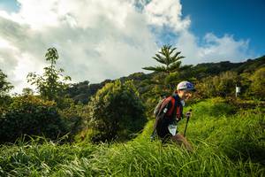 BIB: , 3300
                            <button type="button" onclick="openModal(15970855)" class="btn btn-primary btn-sm float-right btn-popup" data-toggle="modal" data-target=".modal-high-quality">
                        <i class="fas fa-shopping-cart"></i> Add to Cart
                    </button>
                                            <button type="button" onclick="isThisMe(15970855, true)" class="btn btn-success btn-sm float-right btn-popup btn-isme hidden" data-toggle="tooltip" data-placement="bottom" title="นี่คือรูปของคุณใช่ไหม คลิกที่นี่เพื่อเอาเข้าอัลบั้ม">
                        <i class="fas fa-plus"></i> Add to album
                    </button>
                    <button type="button" onclick="isThisMe(15970855, false)" class="btn btn-warning btn-sm float-right btn-popup btn-isnotme hidden">
                        <i class="fas fa-ban"></i> Remove from album
                    </button>