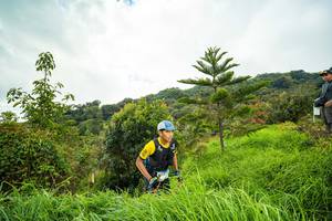 BIB: 
                            <button type="button" onclick="openModal(15968311)" class="btn btn-primary btn-sm float-right btn-popup" data-toggle="modal" data-target=".modal-high-quality">
                        <i class="fas fa-shopping-cart"></i> Add to Cart
                    </button>
                                            <button type="button" onclick="isThisMe(15968311, true)" class="btn btn-success btn-sm float-right btn-popup btn-isme hidden" data-toggle="tooltip" data-placement="bottom" title="นี่คือรูปของคุณใช่ไหม คลิกที่นี่เพื่อเอาเข้าอัลบั้ม">
                        <i class="fas fa-plus"></i> Add to album
                    </button>
                    <button type="button" onclick="isThisMe(15968311, false)" class="btn btn-warning btn-sm float-right btn-popup btn-isnotme hidden">
                        <i class="fas fa-ban"></i> Remove from album
                    </button>