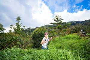 BIB: 
                            <button type="button" onclick="openModal(15969411)" class="btn btn-primary btn-sm float-right btn-popup" data-toggle="modal" data-target=".modal-high-quality">
                        <i class="fas fa-shopping-cart"></i> Add to Cart
                    </button>
                                            <button type="button" onclick="isThisMe(15969411, true)" class="btn btn-success btn-sm float-right btn-popup btn-isme hidden" data-toggle="tooltip" data-placement="bottom" title="นี่คือรูปของคุณใช่ไหม คลิกที่นี่เพื่อเอาเข้าอัลบั้ม">
                        <i class="fas fa-plus"></i> Add to album
                    </button>
                    <button type="button" onclick="isThisMe(15969411, false)" class="btn btn-warning btn-sm float-right btn-popup btn-isnotme hidden">
                        <i class="fas fa-ban"></i> Remove from album
                    </button>