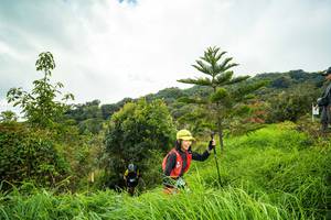 BIB: 3153
                            <button type="button" onclick="openModal(15968214)" class="btn btn-primary btn-sm float-right btn-popup" data-toggle="modal" data-target=".modal-high-quality">
                        <i class="fas fa-shopping-cart"></i> Add to Cart
                    </button>
                                            <button type="button" onclick="isThisMe(15968214, true)" class="btn btn-success btn-sm float-right btn-popup btn-isme hidden" data-toggle="tooltip" data-placement="bottom" title="นี่คือรูปของคุณใช่ไหม คลิกที่นี่เพื่อเอาเข้าอัลบั้ม">
                        <i class="fas fa-plus"></i> Add to album
                    </button>
                    <button type="button" onclick="isThisMe(15968214, false)" class="btn btn-warning btn-sm float-right btn-popup btn-isnotme hidden">
                        <i class="fas fa-ban"></i> Remove from album
                    </button>