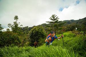 BIB: 
                            <button type="button" onclick="openModal(15967411)" class="btn btn-primary btn-sm float-right btn-popup" data-toggle="modal" data-target=".modal-high-quality">
                        <i class="fas fa-shopping-cart"></i> Add to Cart
                    </button>
                                            <button type="button" onclick="isThisMe(15967411, true)" class="btn btn-success btn-sm float-right btn-popup btn-isme hidden" data-toggle="tooltip" data-placement="bottom" title="นี่คือรูปของคุณใช่ไหม คลิกที่นี่เพื่อเอาเข้าอัลบั้ม">
                        <i class="fas fa-plus"></i> Add to album
                    </button>
                    <button type="button" onclick="isThisMe(15967411, false)" class="btn btn-warning btn-sm float-right btn-popup btn-isnotme hidden">
                        <i class="fas fa-ban"></i> Remove from album
                    </button>