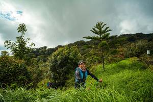 BIB: 
                            <button type="button" onclick="openModal(15968940)" class="btn btn-primary btn-sm float-right btn-popup" data-toggle="modal" data-target=".modal-high-quality">
                        <i class="fas fa-shopping-cart"></i> Add to Cart
                    </button>
                                            <button type="button" onclick="isThisMe(15968940, true)" class="btn btn-success btn-sm float-right btn-popup btn-isme hidden" data-toggle="tooltip" data-placement="bottom" title="นี่คือรูปของคุณใช่ไหม คลิกที่นี่เพื่อเอาเข้าอัลบั้ม">
                        <i class="fas fa-plus"></i> Add to album
                    </button>
                    <button type="button" onclick="isThisMe(15968940, false)" class="btn btn-warning btn-sm float-right btn-popup btn-isnotme hidden">
                        <i class="fas fa-ban"></i> Remove from album
                    </button>