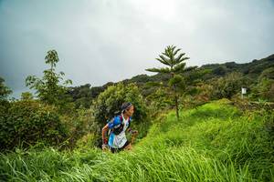 BIB: 3378
                            <button type="button" onclick="openModal(15966632)" class="btn btn-primary btn-sm float-right btn-popup" data-toggle="modal" data-target=".modal-high-quality">
                        <i class="fas fa-shopping-cart"></i> Add to Cart
                    </button>
                                            <button type="button" onclick="isThisMe(15966632, true)" class="btn btn-success btn-sm float-right btn-popup btn-isme hidden" data-toggle="tooltip" data-placement="bottom" title="นี่คือรูปของคุณใช่ไหม คลิกที่นี่เพื่อเอาเข้าอัลบั้ม">
                        <i class="fas fa-plus"></i> Add to album
                    </button>
                    <button type="button" onclick="isThisMe(15966632, false)" class="btn btn-warning btn-sm float-right btn-popup btn-isnotme hidden">
                        <i class="fas fa-ban"></i> Remove from album
                    </button>