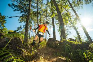 BIB: 3033
                            <button type="button" onclick="openModal(15946798)" class="btn btn-primary btn-sm float-right btn-popup" data-toggle="modal" data-target=".modal-high-quality">
                        <i class="fas fa-shopping-cart"></i> Add to Cart
                    </button>
                                            <button type="button" onclick="isThisMe(15946798, true)" class="btn btn-success btn-sm float-right btn-popup btn-isme hidden" data-toggle="tooltip" data-placement="bottom" title="นี่คือรูปของคุณใช่ไหม คลิกที่นี่เพื่อเอาเข้าอัลบั้ม">
                        <i class="fas fa-plus"></i> Add to album
                    </button>
                    <button type="button" onclick="isThisMe(15946798, false)" class="btn btn-warning btn-sm float-right btn-popup btn-isnotme hidden">
                        <i class="fas fa-ban"></i> Remove from album
                    </button>