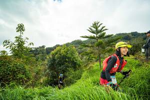 BIB: 3153
                            <button type="button" onclick="openModal(15968253)" class="btn btn-primary btn-sm float-right btn-popup" data-toggle="modal" data-target=".modal-high-quality">
                        <i class="fas fa-shopping-cart"></i> Add to Cart
                    </button>
                                            <button type="button" onclick="isThisMe(15968253, true)" class="btn btn-success btn-sm float-right btn-popup btn-isme hidden" data-toggle="tooltip" data-placement="bottom" title="นี่คือรูปของคุณใช่ไหม คลิกที่นี่เพื่อเอาเข้าอัลบั้ม">
                        <i class="fas fa-plus"></i> Add to album
                    </button>
                    <button type="button" onclick="isThisMe(15968253, false)" class="btn btn-warning btn-sm float-right btn-popup btn-isnotme hidden">
                        <i class="fas fa-ban"></i> Remove from album
                    </button>