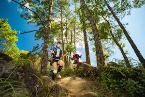 BIB: 
                            <button type="button" onclick="openModal(15965854)" class="btn btn-primary btn-sm float-right btn-popup" data-toggle="modal" data-target=".modal-high-quality">
                        <i class="fas fa-shopping-cart"></i> Add to Cart
                    </button>
                                            <button type="button" onclick="isThisMe(15965854, true)" class="btn btn-success btn-sm float-right btn-popup btn-isme hidden" data-toggle="tooltip" data-placement="bottom" title="นี่คือรูปของคุณใช่ไหม คลิกที่นี่เพื่อเอาเข้าอัลบั้ม">
                        <i class="fas fa-plus"></i> Add to album
                    </button>
                    <button type="button" onclick="isThisMe(15965854, false)" class="btn btn-warning btn-sm float-right btn-popup btn-isnotme hidden">
                        <i class="fas fa-ban"></i> Remove from album
                    </button>