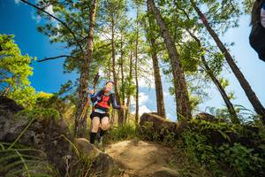 BIB: 342
                            <button type="button" onclick="openModal(15965864)" class="btn btn-primary btn-sm float-right btn-popup" data-toggle="modal" data-target=".modal-high-quality">
                        <i class="fas fa-shopping-cart"></i> Add to Cart
                    </button>
                                            <button type="button" onclick="isThisMe(15965864, true)" class="btn btn-success btn-sm float-right btn-popup btn-isme hidden" data-toggle="tooltip" data-placement="bottom" title="นี่คือรูปของคุณใช่ไหม คลิกที่นี่เพื่อเอาเข้าอัลบั้ม">
                        <i class="fas fa-plus"></i> Add to album
                    </button>
                    <button type="button" onclick="isThisMe(15965864, false)" class="btn btn-warning btn-sm float-right btn-popup btn-isnotme hidden">
                        <i class="fas fa-ban"></i> Remove from album
                    </button>