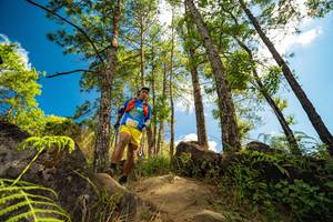 BIB: 
                            <button type="button" onclick="openModal(15966049)" class="btn btn-primary btn-sm float-right btn-popup" data-toggle="modal" data-target=".modal-high-quality">
                        <i class="fas fa-shopping-cart"></i> Add to Cart
                    </button>
                                            <button type="button" onclick="isThisMe(15966049, true)" class="btn btn-success btn-sm float-right btn-popup btn-isme hidden" data-toggle="tooltip" data-placement="bottom" title="นี่คือรูปของคุณใช่ไหม คลิกที่นี่เพื่อเอาเข้าอัลบั้ม">
                        <i class="fas fa-plus"></i> Add to album
                    </button>
                    <button type="button" onclick="isThisMe(15966049, false)" class="btn btn-warning btn-sm float-right btn-popup btn-isnotme hidden">
                        <i class="fas fa-ban"></i> Remove from album
                    </button>