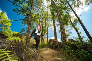 BIB: 343
                            <button type="button" onclick="openModal(15966155)" class="btn btn-primary btn-sm float-right btn-popup" data-toggle="modal" data-target=".modal-high-quality">
                        <i class="fas fa-shopping-cart"></i> Add to Cart
                    </button>
                                            <button type="button" onclick="isThisMe(15966155, true)" class="btn btn-success btn-sm float-right btn-popup btn-isme hidden" data-toggle="tooltip" data-placement="bottom" title="นี่คือรูปของคุณใช่ไหม คลิกที่นี่เพื่อเอาเข้าอัลบั้ม">
                        <i class="fas fa-plus"></i> Add to album
                    </button>
                    <button type="button" onclick="isThisMe(15966155, false)" class="btn btn-warning btn-sm float-right btn-popup btn-isnotme hidden">
                        <i class="fas fa-ban"></i> Remove from album
                    </button>